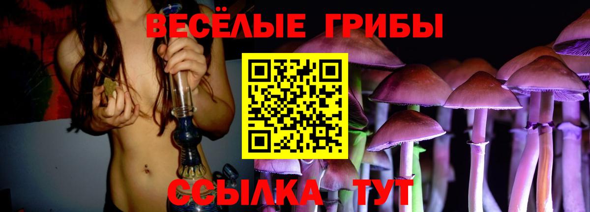 Галлюциногенные грибы GOLDEN TEACHER  Псилоцибиновые грибы Cubensis  Новосибирск  Вход с VPN 