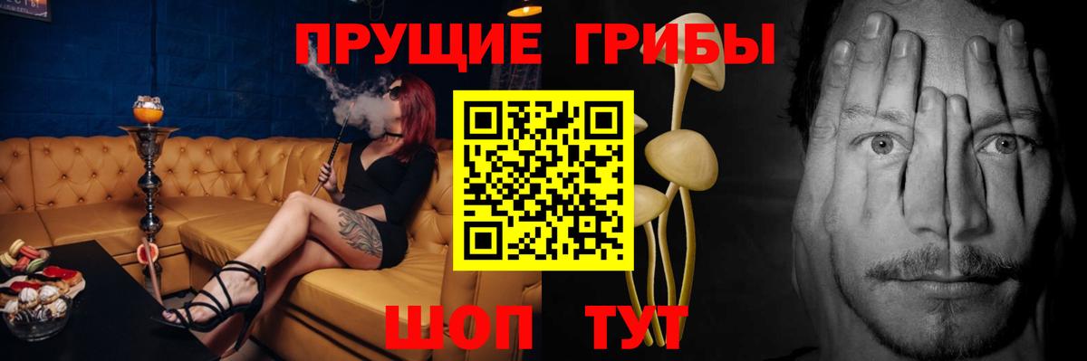 Галлюциногенные грибы Cubensis Новосибирск